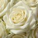 Троянда White Chocolate (Білий шоколад) ROS-CL-WCHOC фото 2