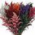 Солідаго