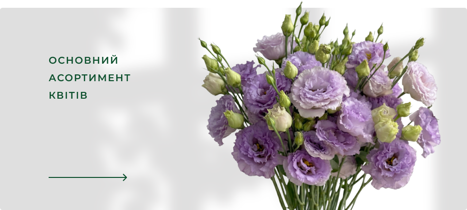 Banner from design
